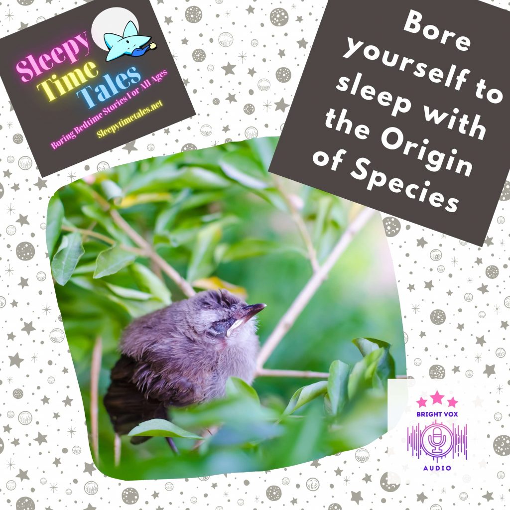Fall asleep like this cute little bird! A grey bird asleep on a branch. text saying "Bore yourself to sleep with the origin of species.'